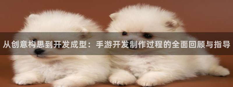 恒盛娱乐注册：从创意构思到开发成型：手游开发制作过程的全面回