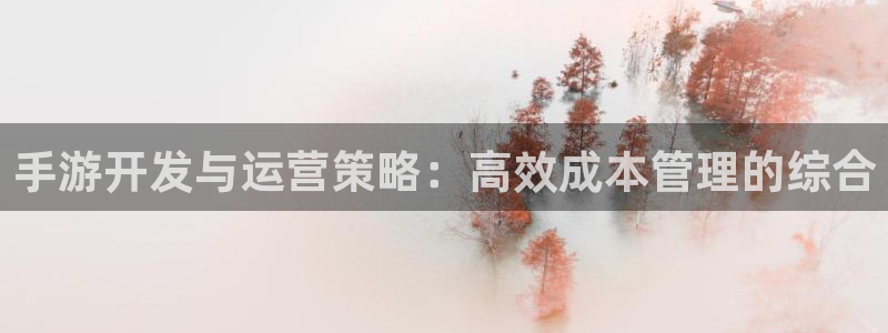 恒盛娱乐平台：手游开发与运营策略：高效成本管理的综合
