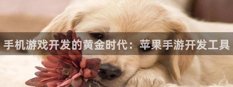 恒盛娱乐首页：手机游戏开发的黄金时代：苹果手游开发工具