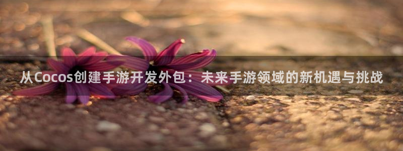 恒盛娱乐登陆：从Cocos创建手游开发外包：未来手游领域的新