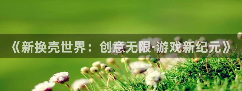 恒盛娱乐首页：《新换壳世界：创意无限·游戏新纪元》