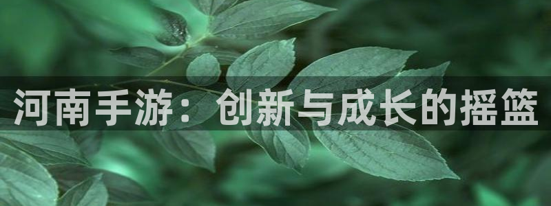 恒盛娱乐平台：河南手游：创新与成长的摇篮
