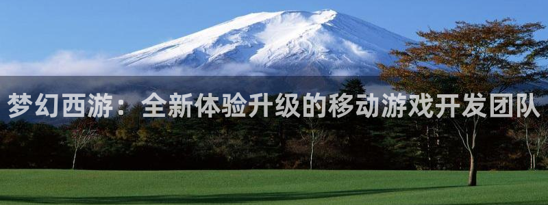 恒盛娱乐app：梦幻西游：全新体验升级的移动游戏开发团队