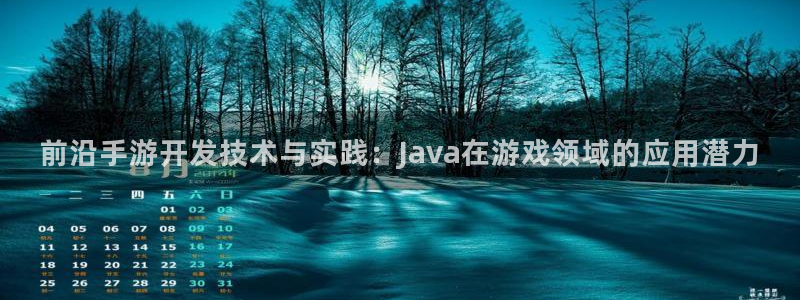 恒盛娱乐官网：前沿手游开发技术与实践：Java在游戏领域的应