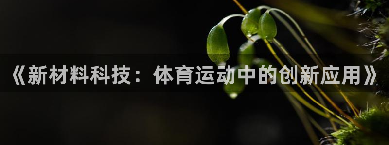 熊猫体育app官方下载最新版：《新材料科技：体育运动中的创新应用》
