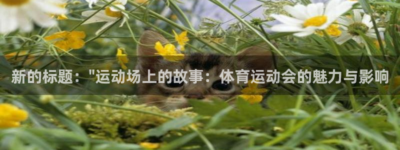 熊猫体育在线观看：新的标题：\
