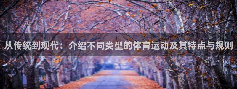 熊猫体育官方网站：从传统到现代：介绍不同类型的体育运动及其特点与规则