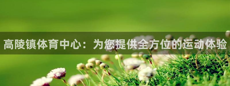 熊猫体育直播nba：高陵镇体育中心：为您提供全方位的运动体验