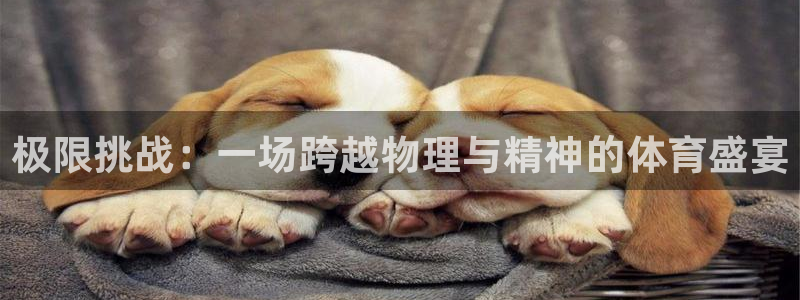 熊猫体育直播：极限挑战：一场跨越物理与精神的体育盛宴