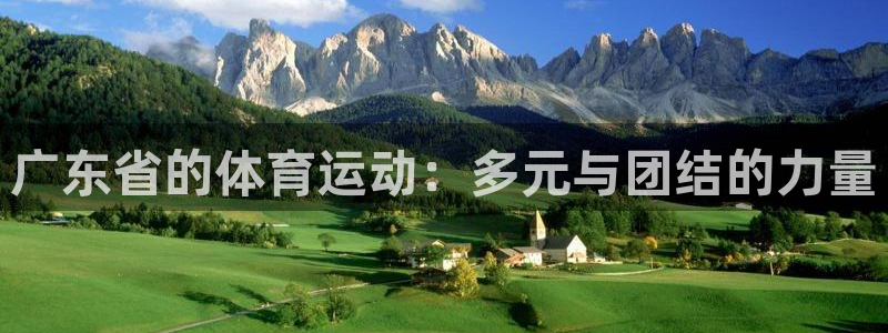 动感熊猫体育公园：广东省的体育运动：多元与团结的力量