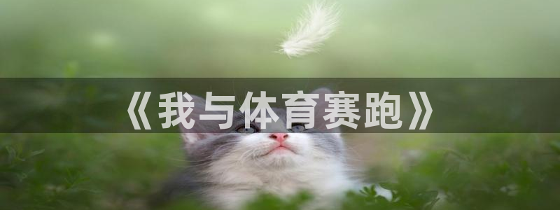 熊猫体育网址